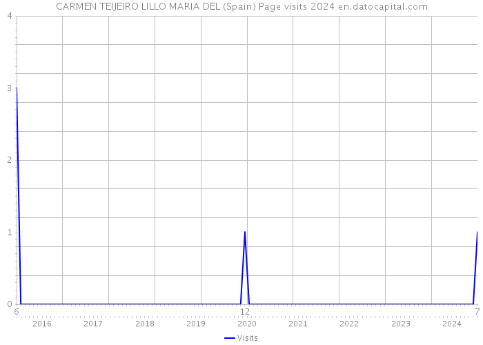 CARMEN TEIJEIRO LILLO MARIA DEL (Spain) Page visits 2024 