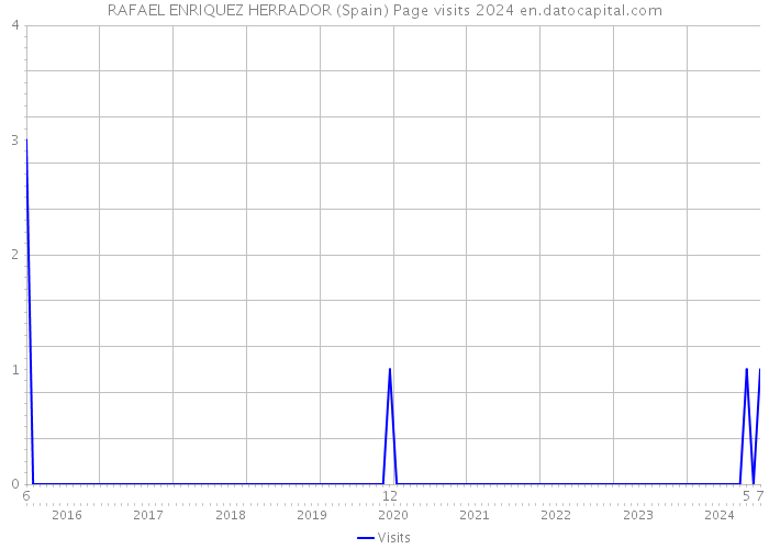RAFAEL ENRIQUEZ HERRADOR (Spain) Page visits 2024 