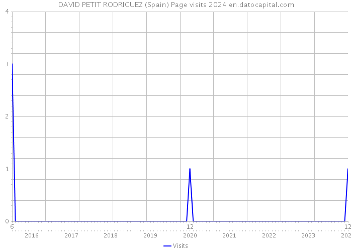 DAVID PETIT RODRIGUEZ (Spain) Page visits 2024 