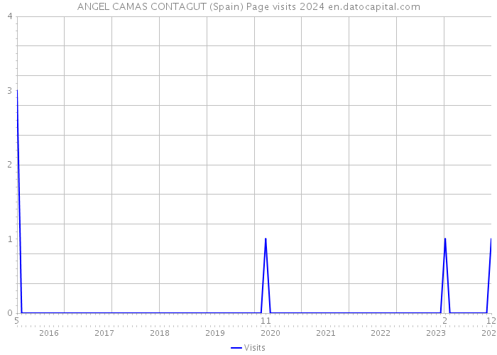 ANGEL CAMAS CONTAGUT (Spain) Page visits 2024 