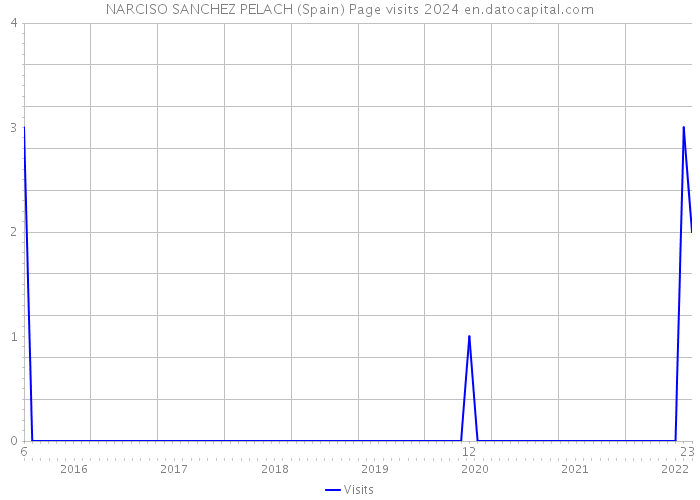 NARCISO SANCHEZ PELACH (Spain) Page visits 2024 