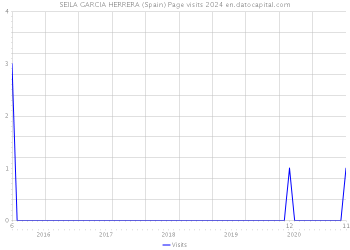 SEILA GARCIA HERRERA (Spain) Page visits 2024 