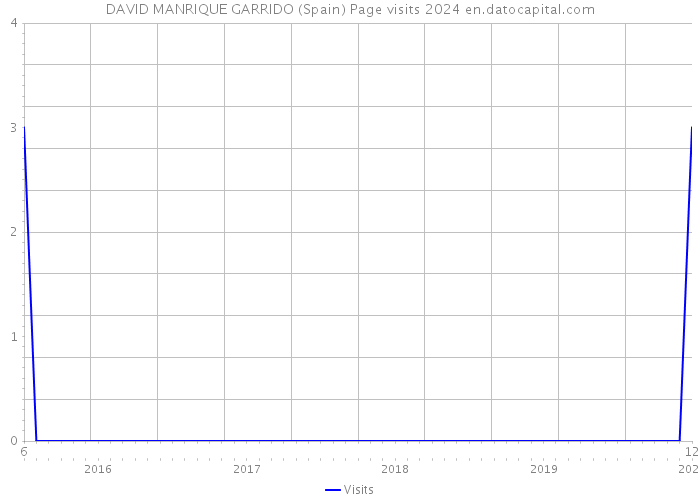DAVID MANRIQUE GARRIDO (Spain) Page visits 2024 