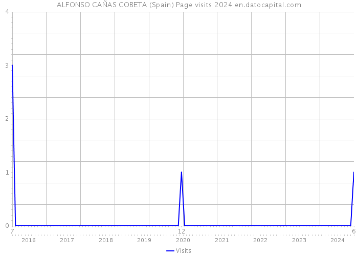 ALFONSO CAÑAS COBETA (Spain) Page visits 2024 