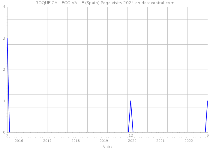 ROQUE GALLEGO VALLE (Spain) Page visits 2024 