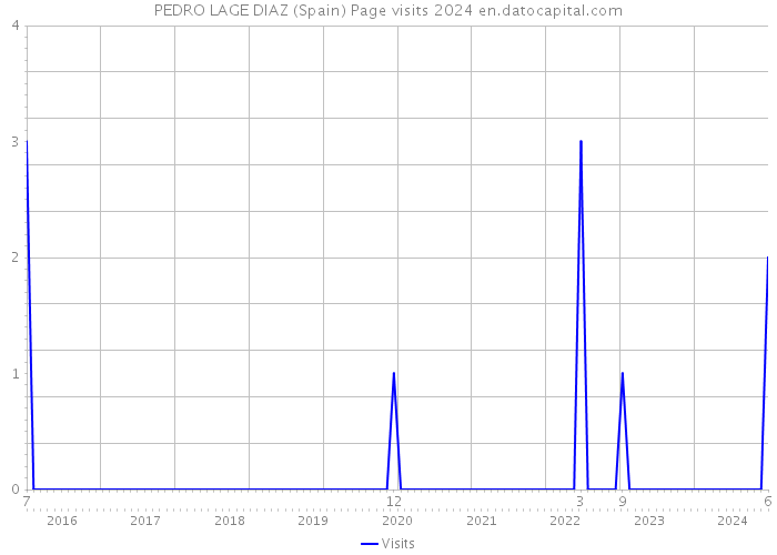 PEDRO LAGE DIAZ (Spain) Page visits 2024 