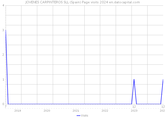 JOVENES CARPINTEROS SLL (Spain) Page visits 2024 