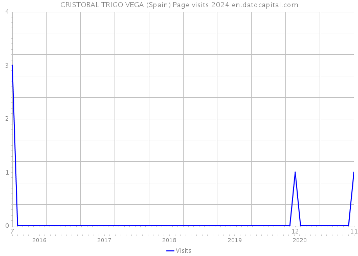 CRISTOBAL TRIGO VEGA (Spain) Page visits 2024 