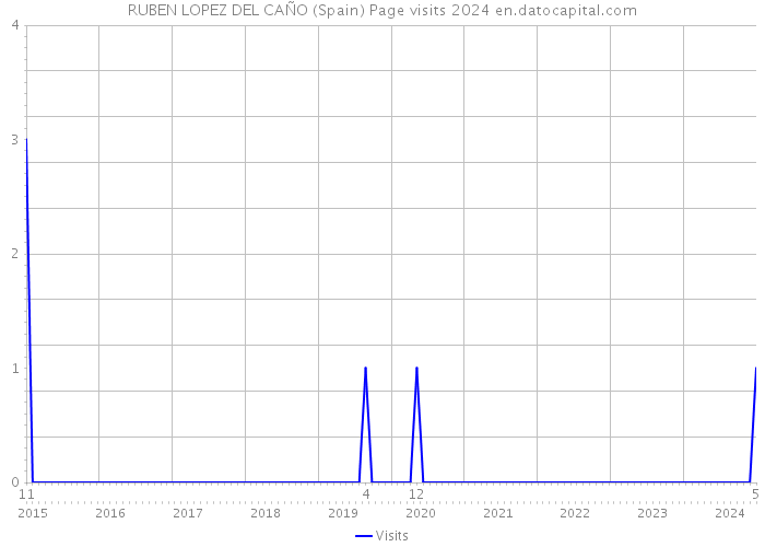 RUBEN LOPEZ DEL CAÑO (Spain) Page visits 2024 