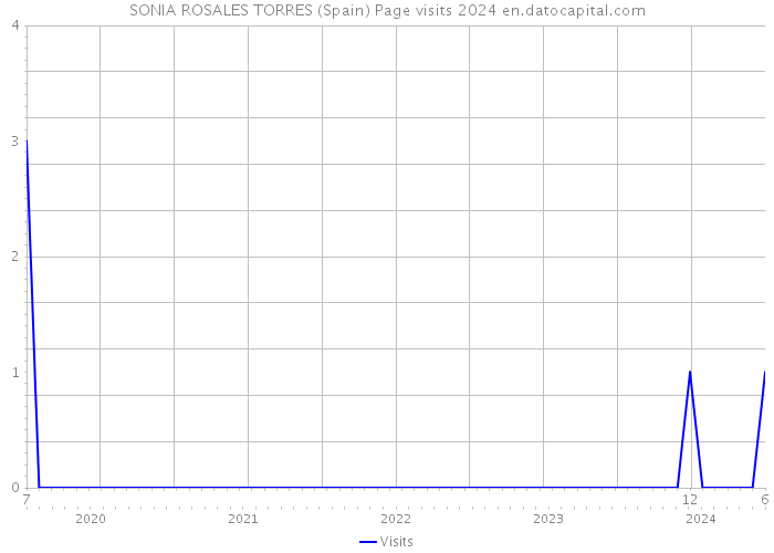 SONIA ROSALES TORRES (Spain) Page visits 2024 