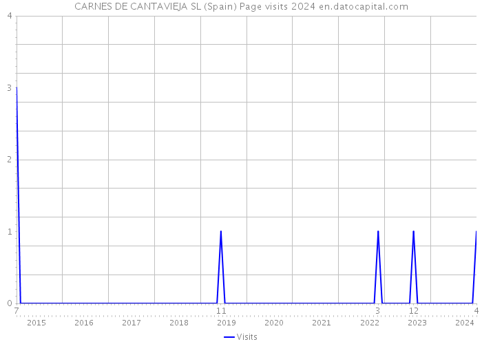 CARNES DE CANTAVIEJA SL (Spain) Page visits 2024 