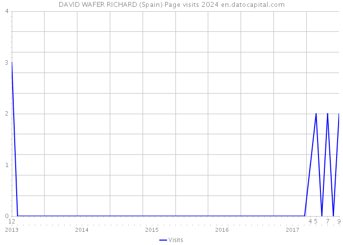 DAVID WAFER RICHARD (Spain) Page visits 2024 