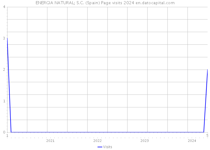 ENERGIA NATURAL; S.C. (Spain) Page visits 2024 
