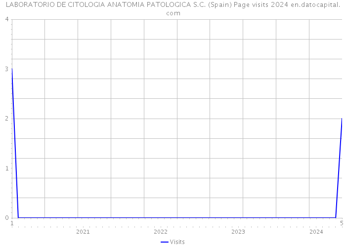 LABORATORIO DE CITOLOGIA ANATOMIA PATOLOGICA S.C. (Spain) Page visits 2024 