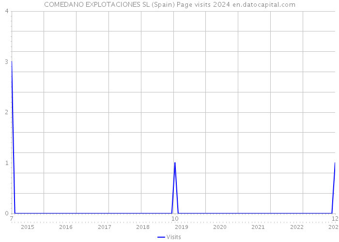 COMEDANO EXPLOTACIONES SL (Spain) Page visits 2024 