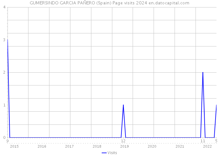 GUMERSINDO GARCIA PAÑERO (Spain) Page visits 2024 