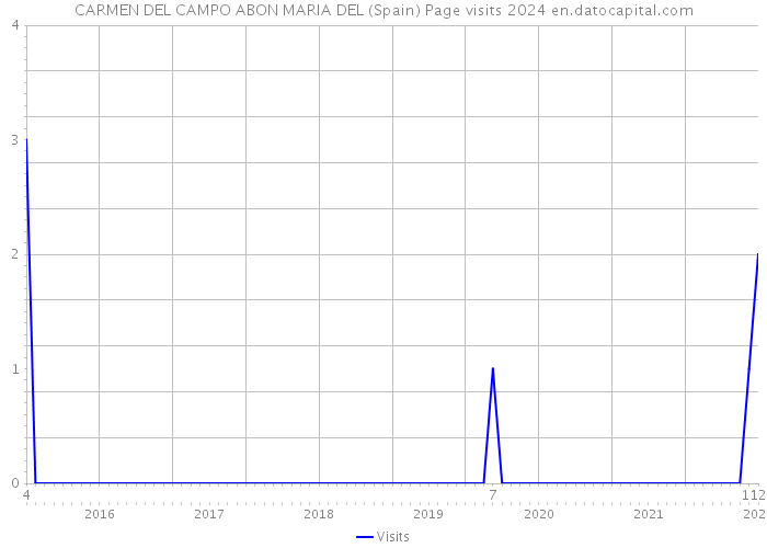 CARMEN DEL CAMPO ABON MARIA DEL (Spain) Page visits 2024 