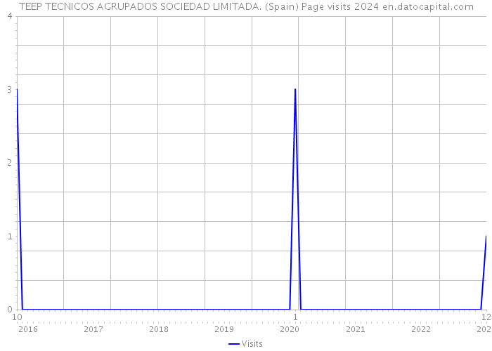 TEEP TECNICOS AGRUPADOS SOCIEDAD LIMITADA. (Spain) Page visits 2024 
