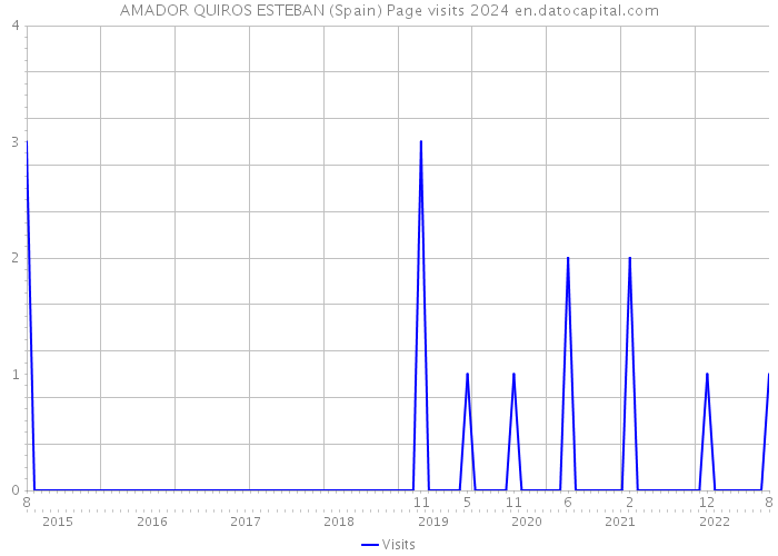 AMADOR QUIROS ESTEBAN (Spain) Page visits 2024 