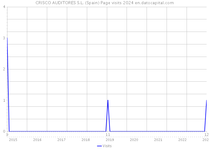 CRISCO AUDITORES S.L. (Spain) Page visits 2024 