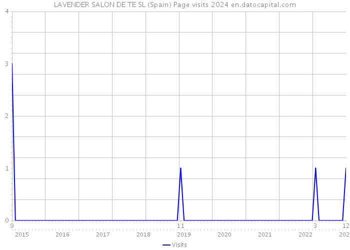 LAVENDER SALON DE TE SL (Spain) Page visits 2024 