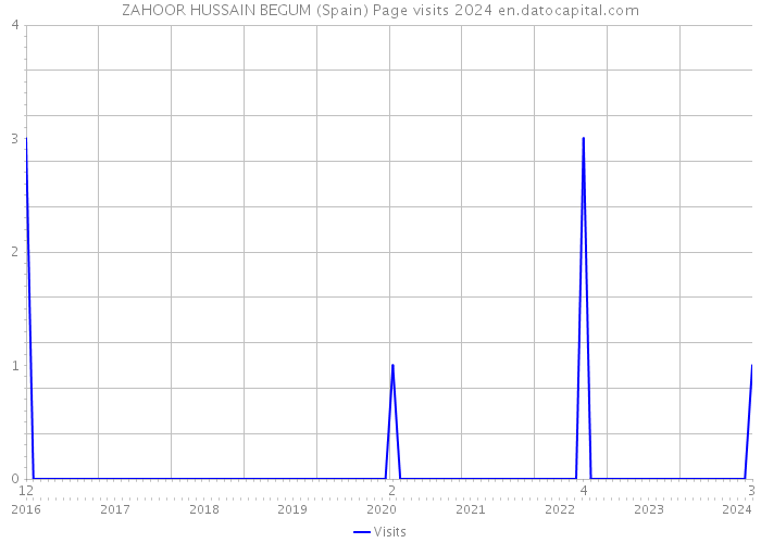 ZAHOOR HUSSAIN BEGUM (Spain) Page visits 2024 