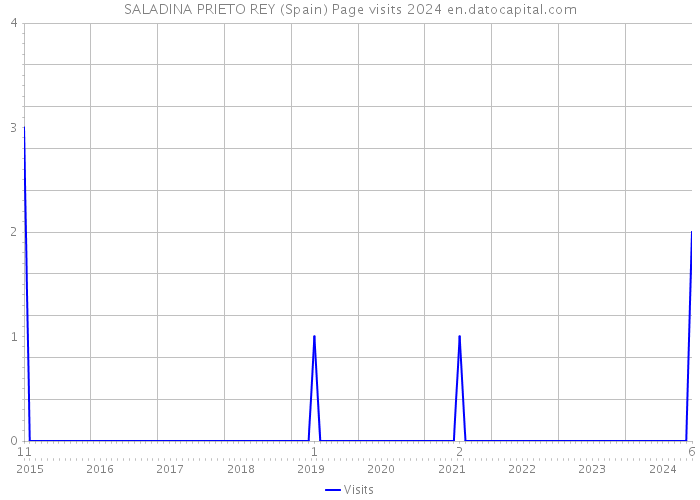 SALADINA PRIETO REY (Spain) Page visits 2024 