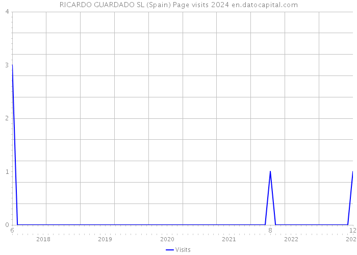 RICARDO GUARDADO SL (Spain) Page visits 2024 