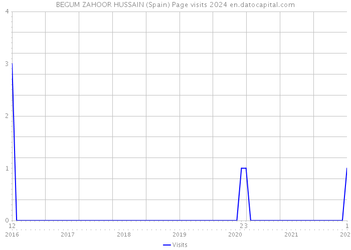 BEGUM ZAHOOR HUSSAIN (Spain) Page visits 2024 