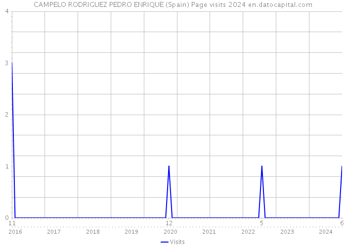 CAMPELO RODRIGUEZ PEDRO ENRIQUE (Spain) Page visits 2024 