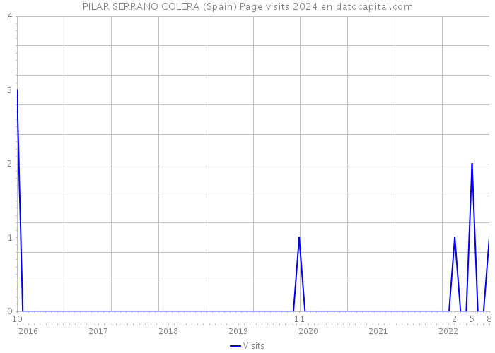 PILAR SERRANO COLERA (Spain) Page visits 2024 