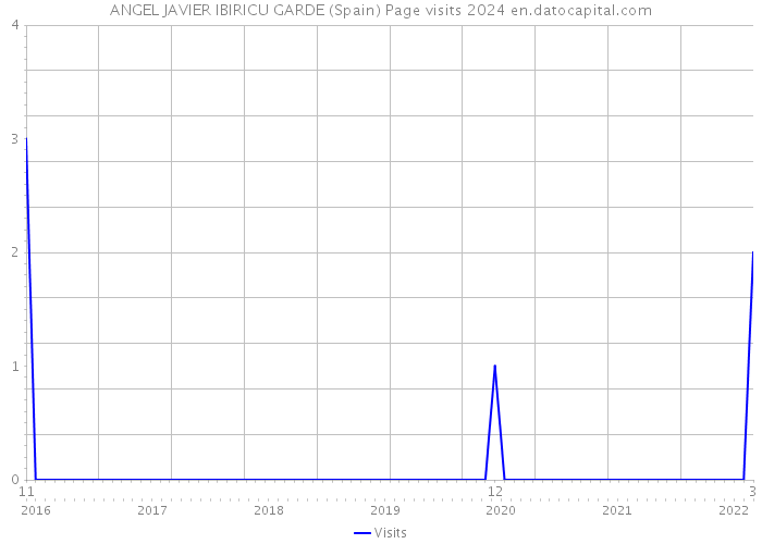 ANGEL JAVIER IBIRICU GARDE (Spain) Page visits 2024 