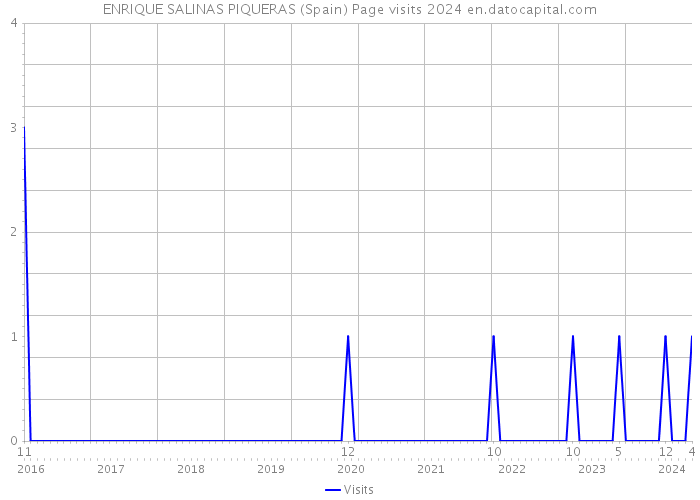 ENRIQUE SALINAS PIQUERAS (Spain) Page visits 2024 