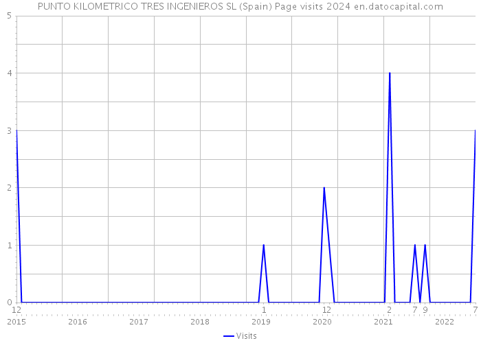 PUNTO KILOMETRICO TRES INGENIEROS SL (Spain) Page visits 2024 