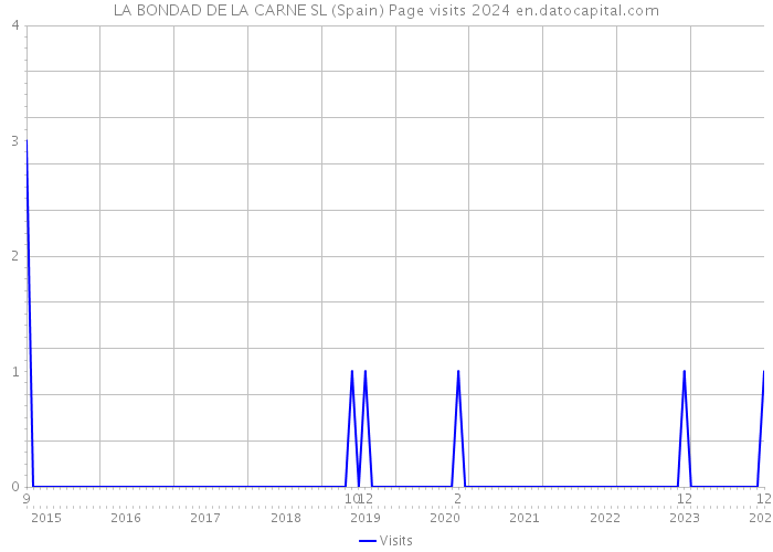 LA BONDAD DE LA CARNE SL (Spain) Page visits 2024 