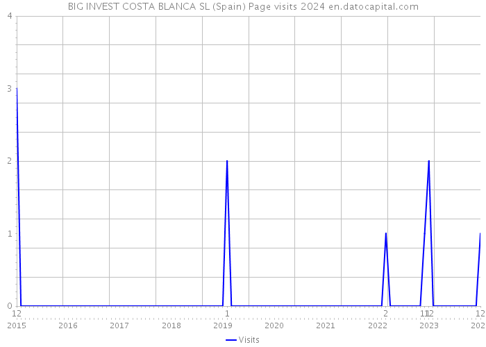 BIG INVEST COSTA BLANCA SL (Spain) Page visits 2024 