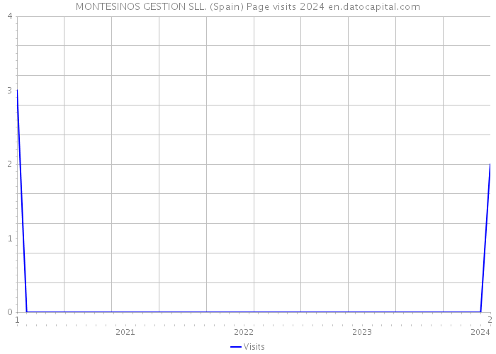 MONTESINOS GESTION SLL. (Spain) Page visits 2024 