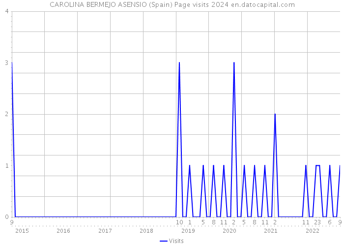 CAROLINA BERMEJO ASENSIO (Spain) Page visits 2024 