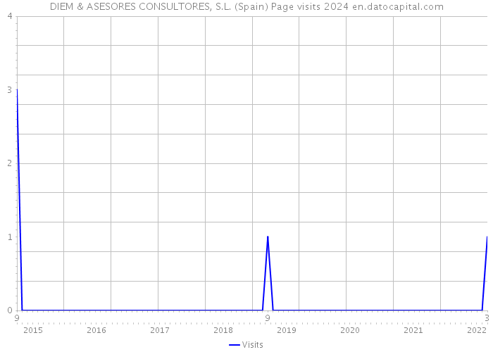 DIEM & ASESORES CONSULTORES, S.L. (Spain) Page visits 2024 