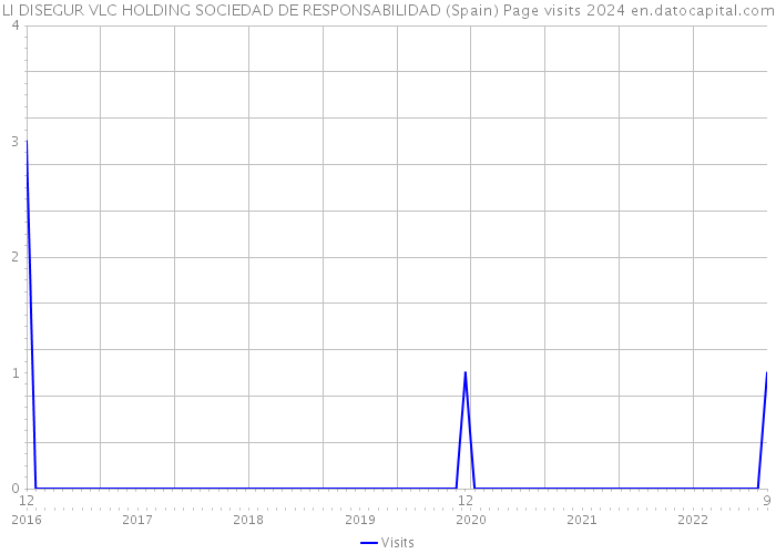 LI DISEGUR VLC HOLDING SOCIEDAD DE RESPONSABILIDAD (Spain) Page visits 2024 