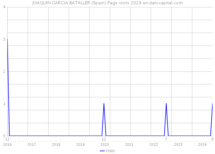 JOAQUIN GARCIA BATALLER (Spain) Page visits 2024 