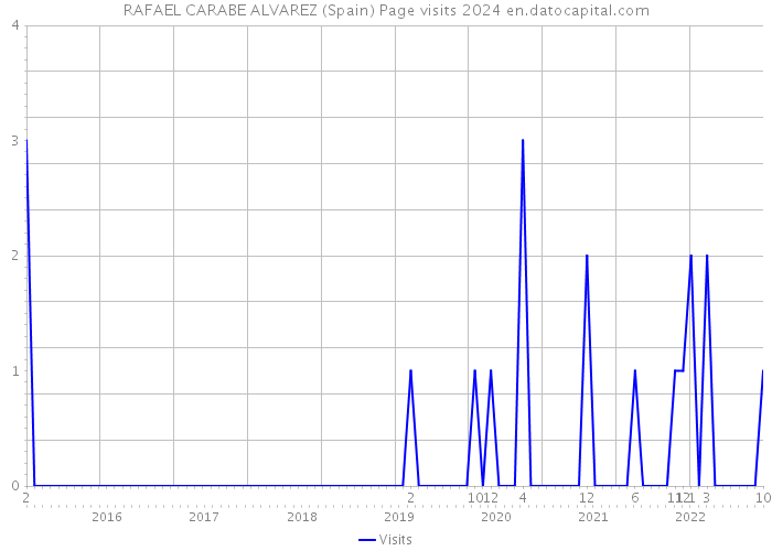 RAFAEL CARABE ALVAREZ (Spain) Page visits 2024 