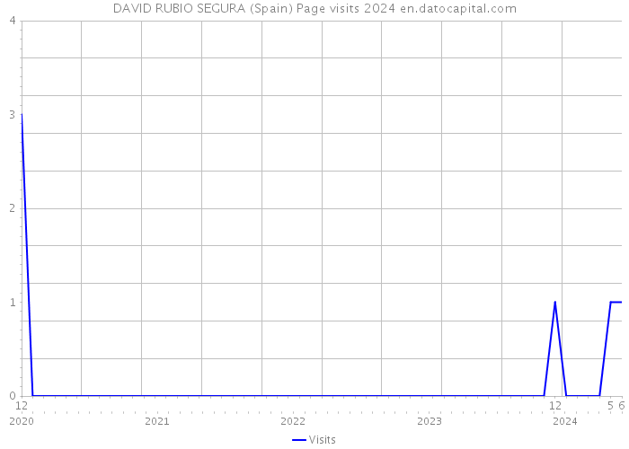 DAVID RUBIO SEGURA (Spain) Page visits 2024 