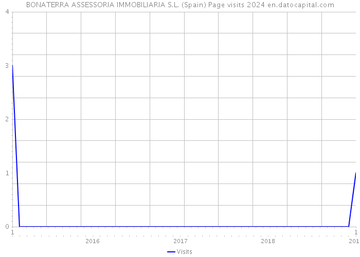 BONATERRA ASSESSORIA IMMOBILIARIA S.L. (Spain) Page visits 2024 