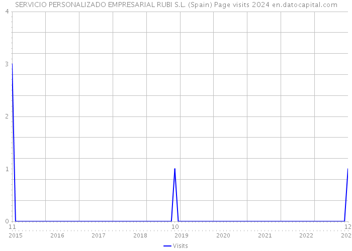 SERVICIO PERSONALIZADO EMPRESARIAL RUBI S.L. (Spain) Page visits 2024 