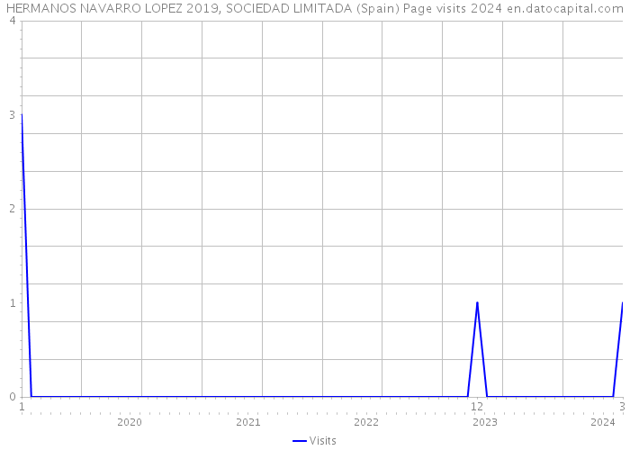 HERMANOS NAVARRO LOPEZ 2019, SOCIEDAD LIMITADA (Spain) Page visits 2024 