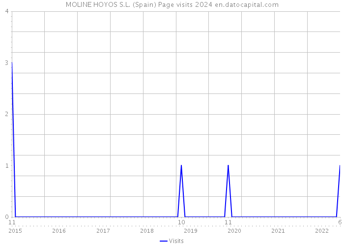 MOLINE HOYOS S.L. (Spain) Page visits 2024 