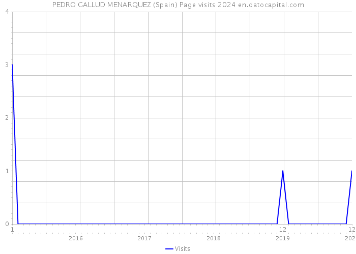 PEDRO GALLUD MENARQUEZ (Spain) Page visits 2024 