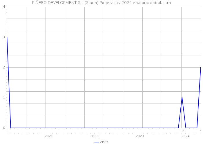PIÑERO DEVELOPMENT S.L (Spain) Page visits 2024 