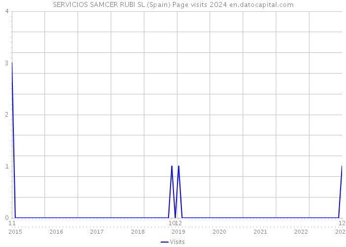 SERVICIOS SAMCER RUBI SL (Spain) Page visits 2024 